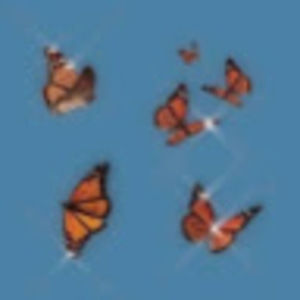 Meet your Posher, Laurel